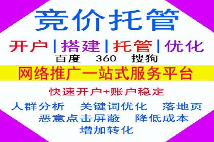 某某sem广告公司成功案例：如何通过SEM优化提高电商销售额